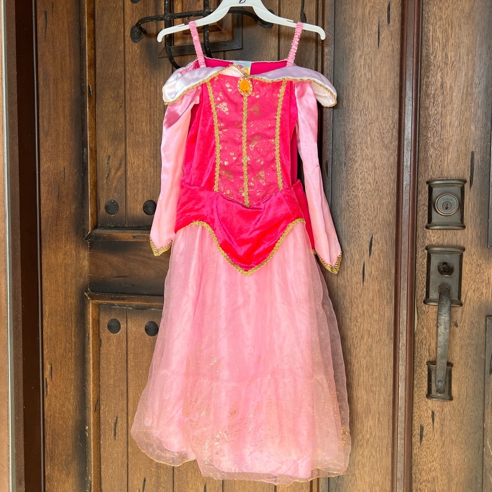 Disney Sleeping Beauty Aurora Pink and Hot Pink Princess Dress Costume